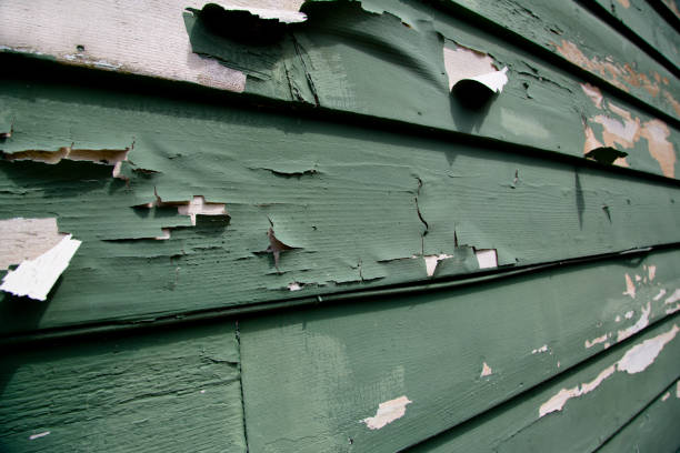 Best Same-Day Junk Removal Services  in Chillum, MD