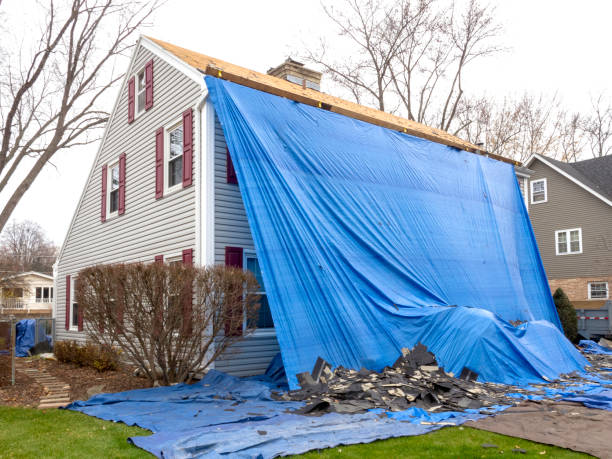 Best Dumpster Rental Services  in Chillum, MD